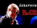 Огонь Вавилона (2013🔥) Concert