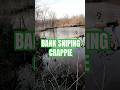 Crappies are Super Shallow #fyp #crappie #fishing #crappiefishing #bass #bassfishing #pescasub #fypシ