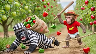 Download Lagu 💥🐒🏃Monkey ToKo Bell Pepper Harvest EXPLODES Into Chaos — He Spots A Farm Thief Triggers Wild Chase!🏃 MP3