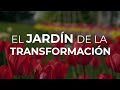 El Jardín 🍀  de la TRANSFORMACIÓN 🧘🏻‍♀️ Meditación Guiada con Elsa Punset