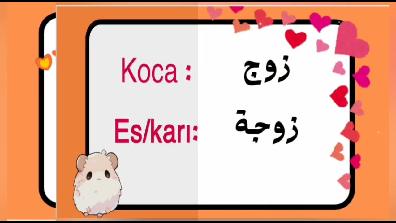 أفراد العائلة باللغة التركية 🇹🇷 (تعلم كلمات كالبرق)  🇹🇷💛🧡