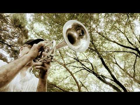 【夜空のムコウ🎼SMAP】をトランペットでカッコよく吹いてみる🎺🎵