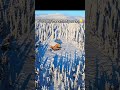 #alaska #buildingoffgrid #dontletyourdreamsbedreams #trending #offgrid #viral