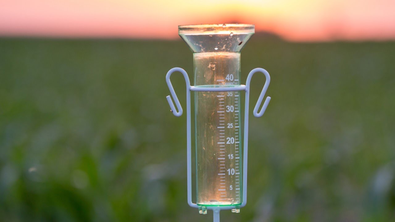 ¿Qué es un PLUVIÓMETRO o PLUVIÓGRAFO? YouTube ¿Qué es un PLUVIÓMETRO o PLUVIÓGRAFO? YouTube