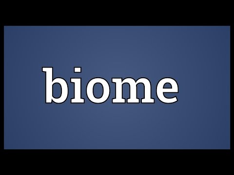 Biome Meaning