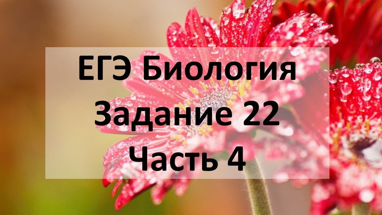 ЕГЭ Биология Задание 22 Часть 4 - YouTube