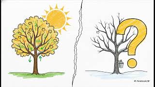 OSE 7.4 Unit Overview: Matter Cycling and Photosynthesis