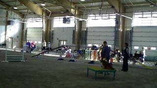 Kimi Excellent Std ODTC Dec2009.AVI