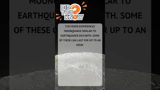 Random Facts You Didn’t Know – Ep.  36 #Shorts #DidYouKnow #MindBlowingFacts