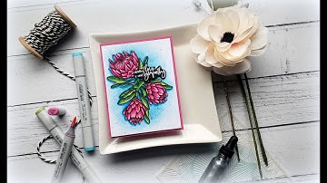 Dimensional Copic Coloring A One Layer Card: Making Your Dream DT