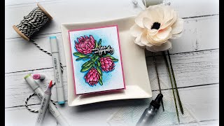 Dimensional Copic Coloring A One Layer Card: Making Your Dream DT