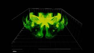 Stanford researchers develop process to render mouse brain transparent