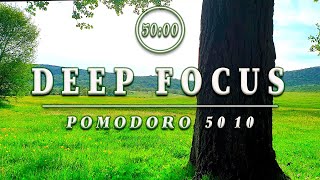 📖3-HOUR STUDY Session🌳🕒POMODORO TIMER 50/10🌳📖DEEP FOCUS Background Noise Forest Sound | Work & Study
