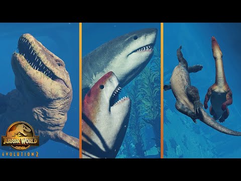 All Aquatic Species Social Animations In Jurassic World Evolution 2 (Megalodon Update)