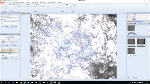 Microscope Camera Control in DeltaPix InSight