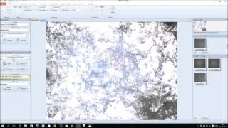 Microscope Camera Control in DeltaPix InSight