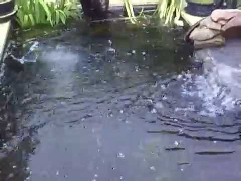 building a koi pond with concrete blocks - YouTube