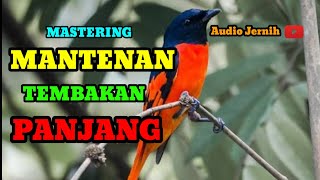 SUARA KRISTAL PANJANG MASTERAN MANTENAN GUNUNG/HIMALAYA