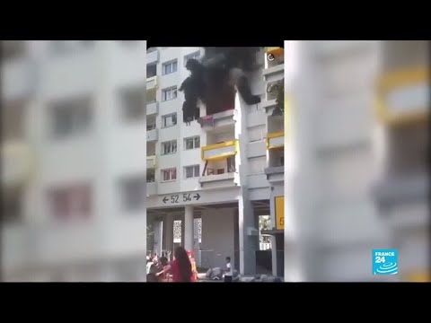 Vidéo: Un Chien De Sauvetage Alerte Le Propriétaire D'un Incendie Dans Le Quartier