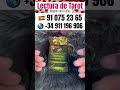 QUEDA ALGO PENDIENTE con ESA PERSONA? 😳💖‼️ Lectura de Tarot Canalizada para ti