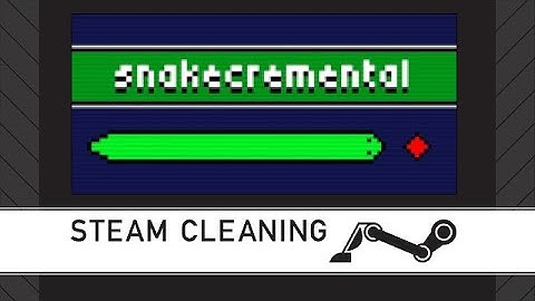 Steam Cleaning - Snakecremental
