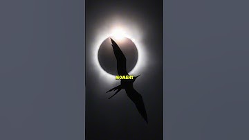 INSANE moments from the #eclipse ☀️ #weather #shorts #tornado #tsunami #hurricane