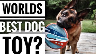 Best dog toy review Chuck it paraflight frisbee