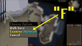 The WILDEST Examine Texts in OSRS