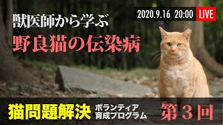 第3回 猫問題解決ボランティア育成プログラム 〜猫と病気 シェルターメディスンを学ぼう〜