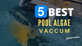 ⭕ Top 5 Best Pool Vacuum for Algae [Review and Guide]