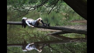 Deep Sleep Relaxation Harmonizing Music