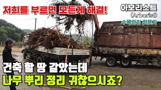 #트리119 전원주택 지을 토지 정리 후 남은 임목 폐기물 때문에 골치 아프신분!?#korean #Arborist