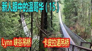 15新人眼中的温哥华  卡皮拉诺吊桥 The Capilano Suspension Bridge Lynn 峡谷吊桥,  Lynn canyon suspension bridge,北温