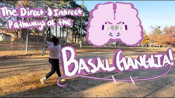 The Direct and Indirect Pathways of the Basal Ganglia | Science Ambassador Scholarship 2026