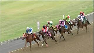 Vidéo de la course PMU PRIX CALL TELEBET TRACK & BALL FIXED ODDS ON 031 314 1155 MAIDEN PLATE