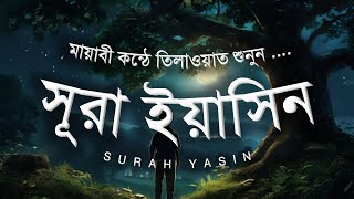 মায়াবী কন্ঠে মনজুরানু তিলাওয়াত শুনুন সুরা ইয়াসিন | Sura Yasin in a magical voice | by ALAA YASEER