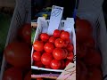Привокзальний ринок запрошує придбати свіжі овочі та фрукти до Вашого столу #володимирівнарулить
