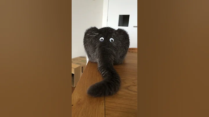 Funny Cat's Behind Looks Like an Elephant!