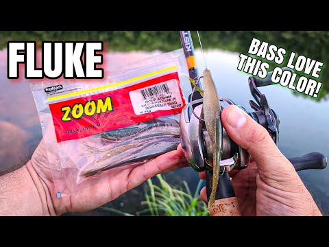 Flukes in Grass Catch PICKY BASS! (Bank Fishing Pressured Lake) 