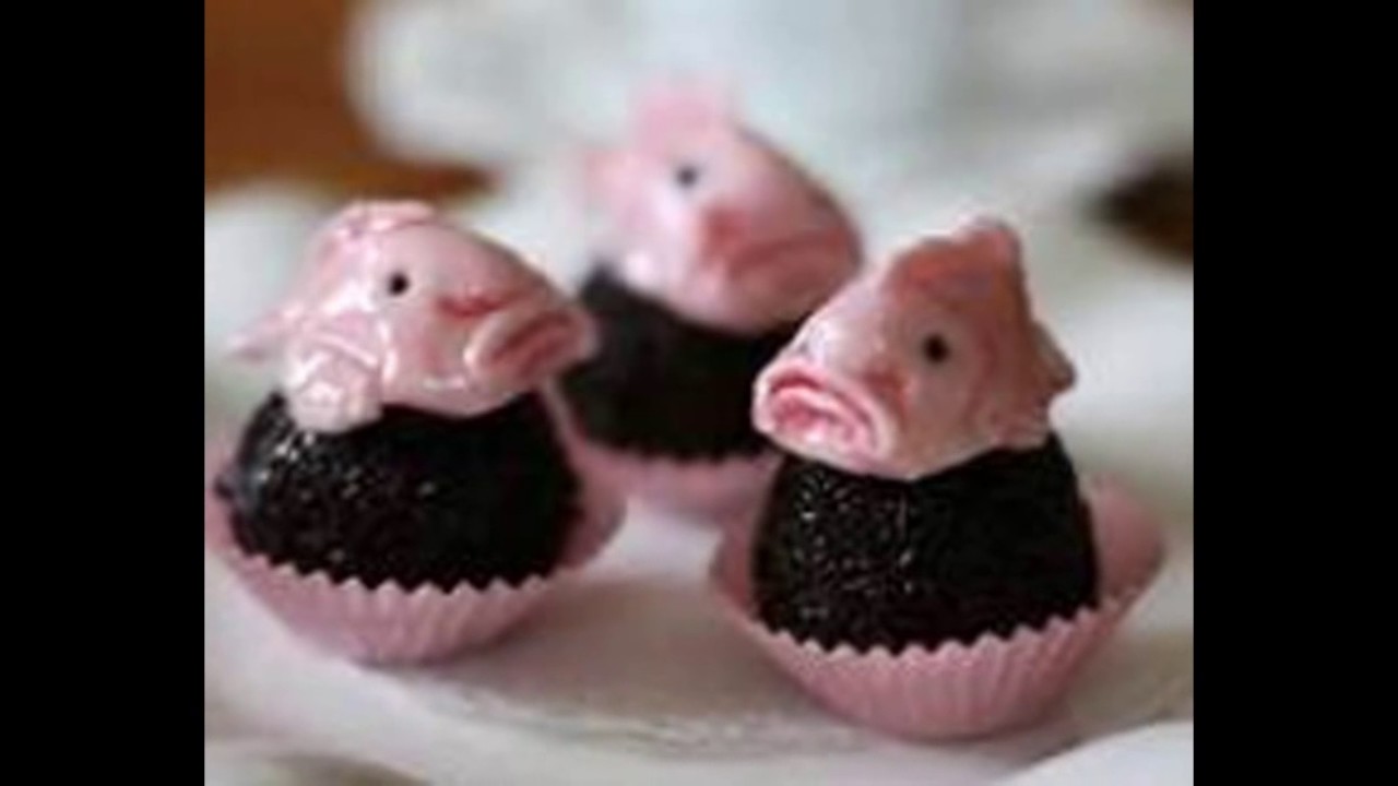 Sexy Blobfish