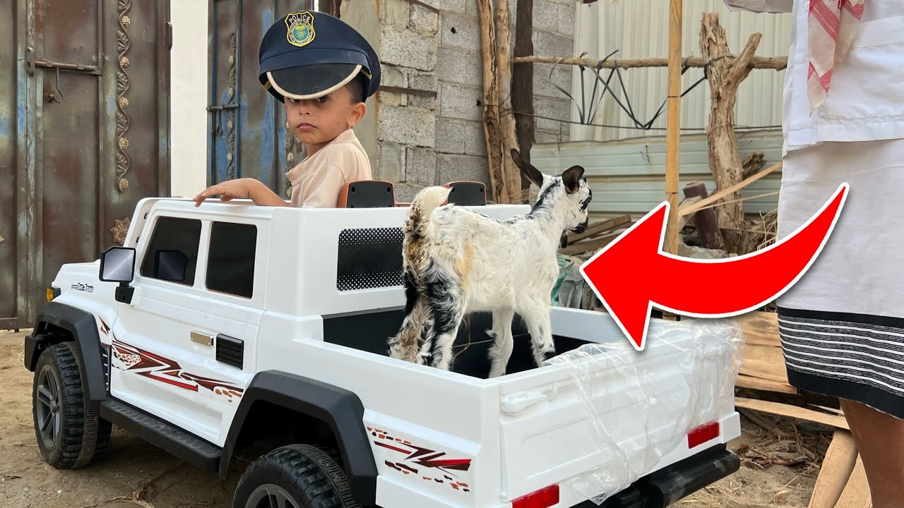 الشرطي عصب واخذ الماعز في شاص حمودي 🐑😰‼️#شاص 