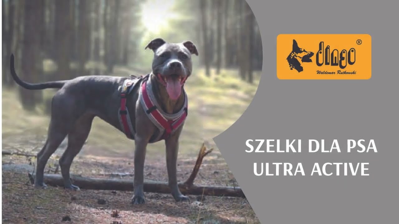 SZELKI DLA PSA ULTRA ACTIVE I ULTRA ACTIVE HARNESS I DINGO SP. Z O.O.