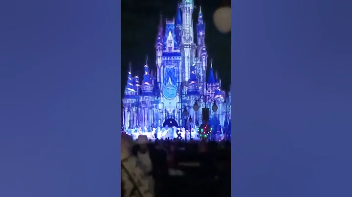 Magic Kingdom Castle