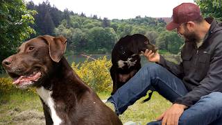 Ella is the most energetic dog at the sanctuary by far and her story is one of my favorites