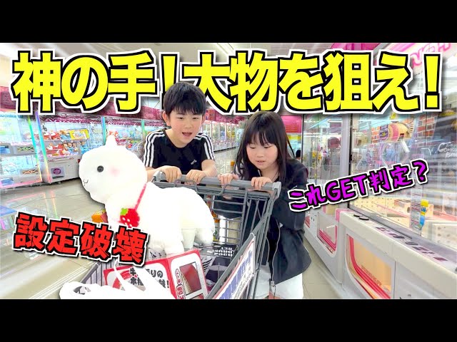 【スタッフさん困惑】クレーンゲーム優良店で大物GETがまさかの設定破壊！？らんちゃん＆つばさの3000円チャレンジ！回遊館