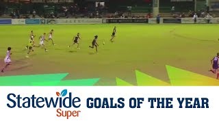 2017 Statewide Super Goals of the Year Contenders