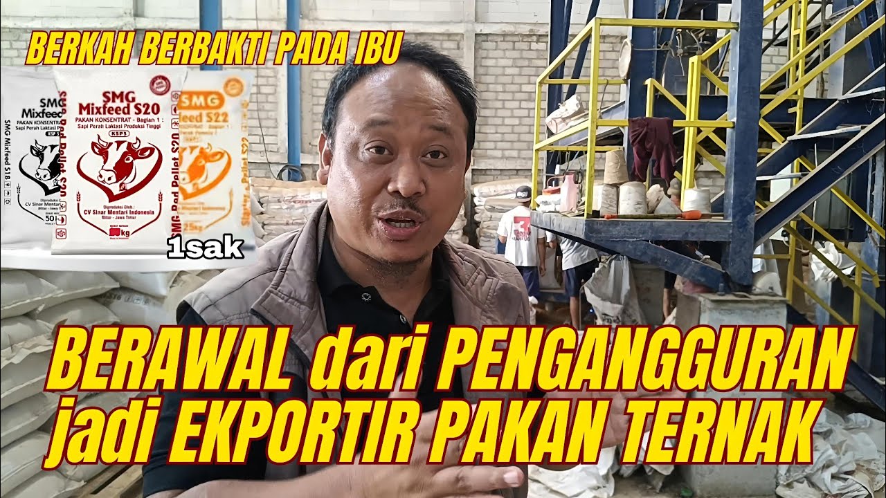 KIAT SUKSES TERNAK DOMBA & JUAL PAKAN ALA JURAGAN SMG MIXFEED❤️‍🔥❤️‍🔥