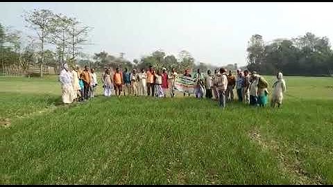 Farmer Exposure  visit Zero tillage Demo plot