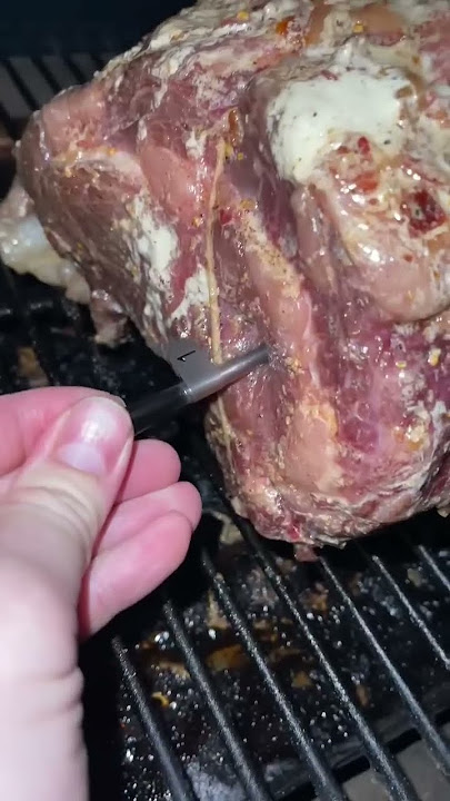 Grilled Rotisserie Prime Rib: The Video — Another Pint Please