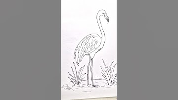 Flamingo Drawing Easy method || How to Draw #art